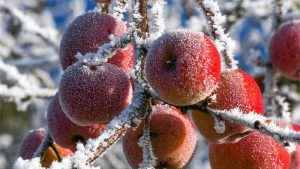 ¿Quieres cambiar la fiesta de Navidad de todos los años por un día inolvidable? Kerencias - ASPM Asociación del Secretariado Profesional de Madrid