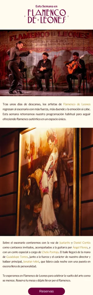 El flamenco vuelve a latir en Flamenco de Leones - ASPM Asociación del Secretariado Profesional de Madrid