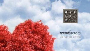 Ideas de Regalo de San Valentín para empresas: ¡Aún estamos a tiempo! - Rituals - ASPM Asociación del Secretariado Profesional de Madrid